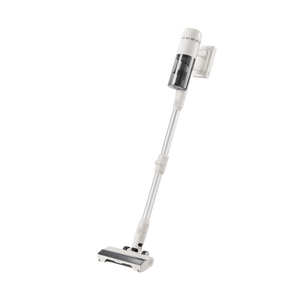 Roborock H60