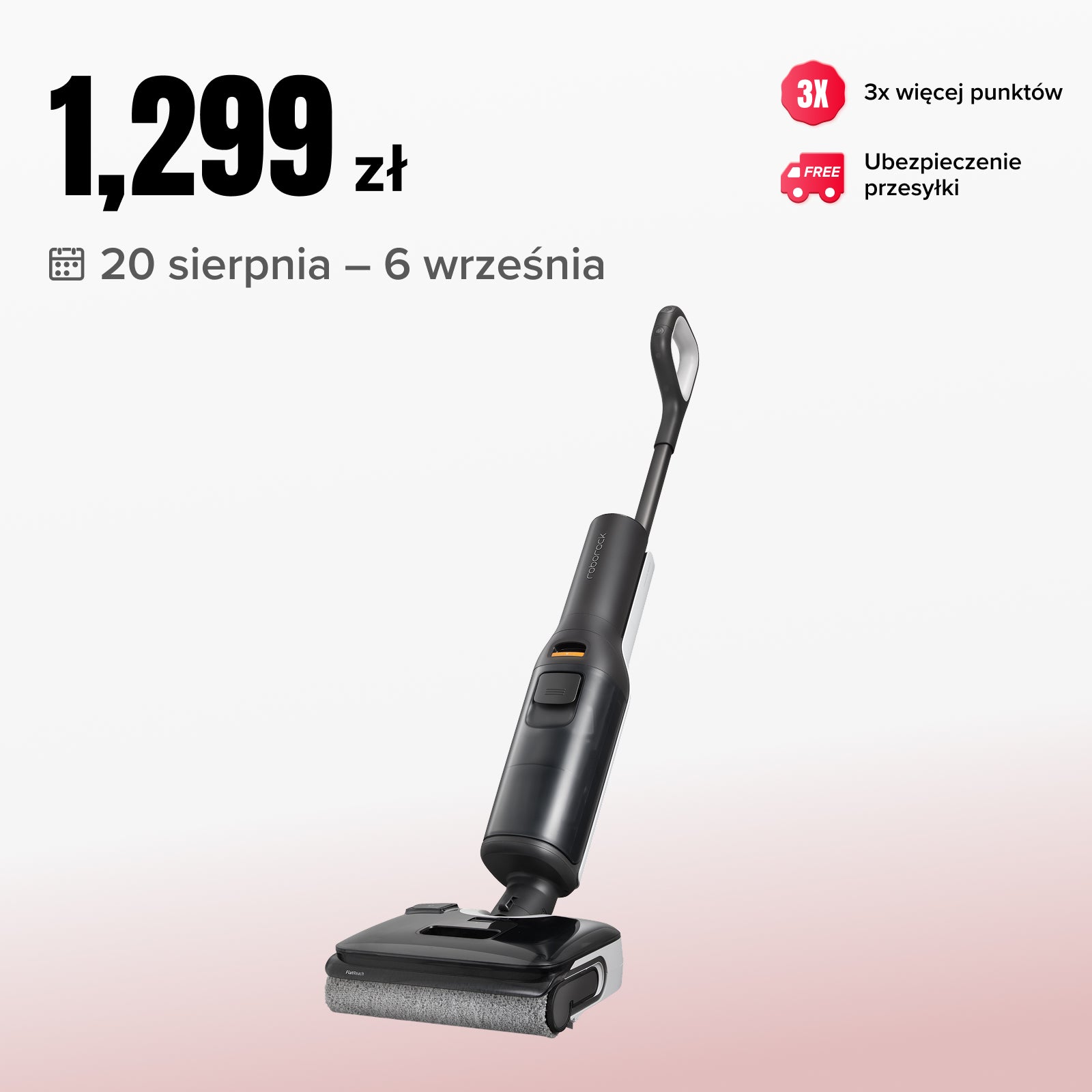 Roborock F25 BX (F25 NowaWersja)